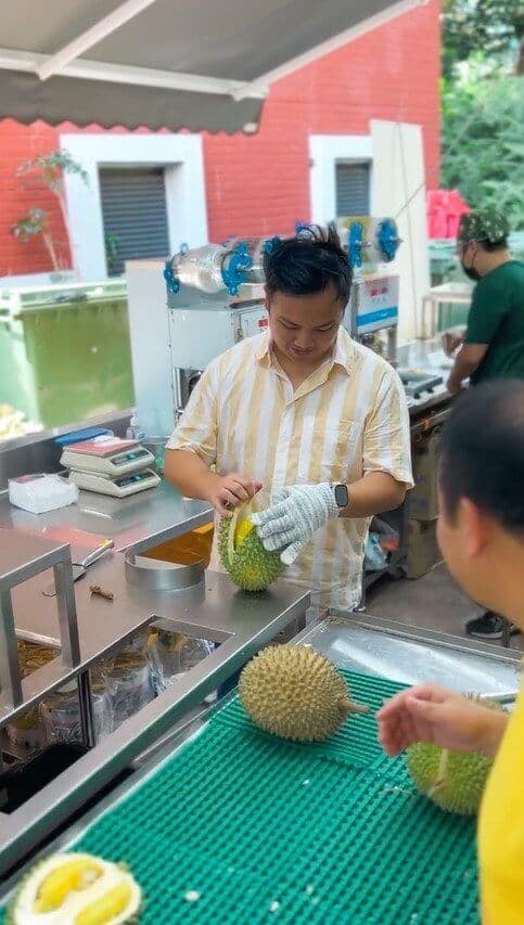 Old Trees Durian Singapore Insiders