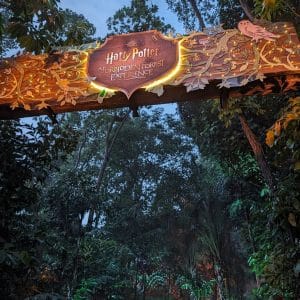 harry potter a forbidden forest experience - singapore insiders 2024