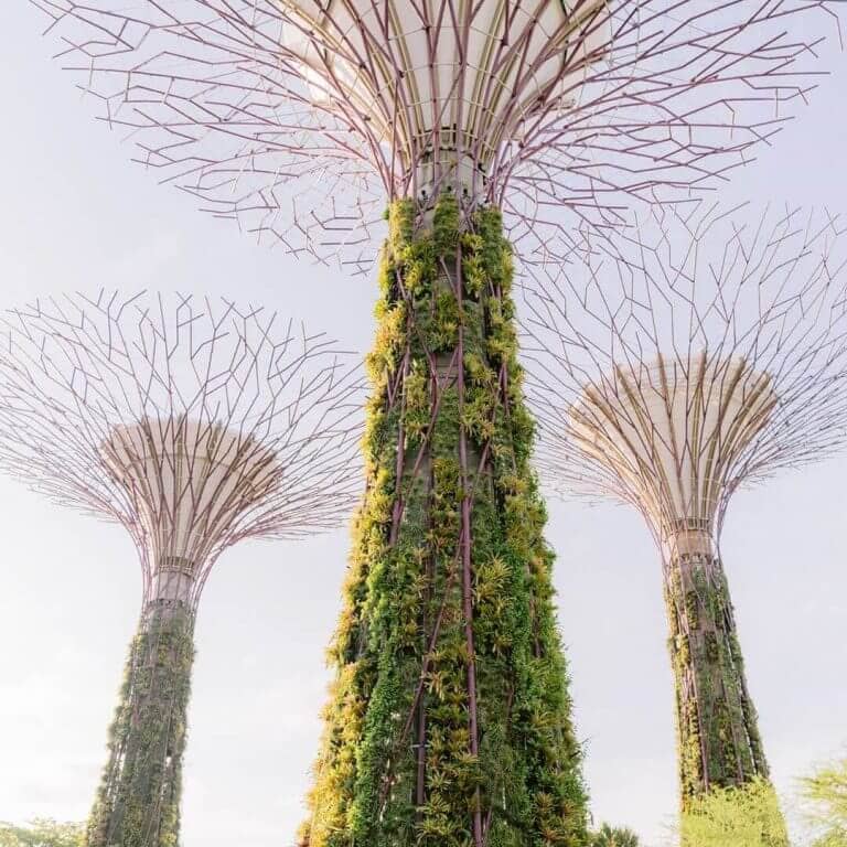 gardens by the bay singapore insiders