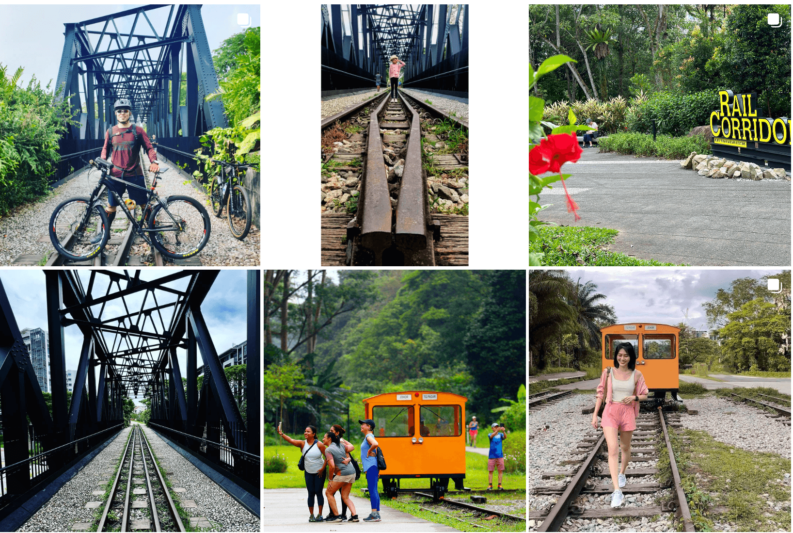 Bukit Timah Nature Reserve Singapore Insiders